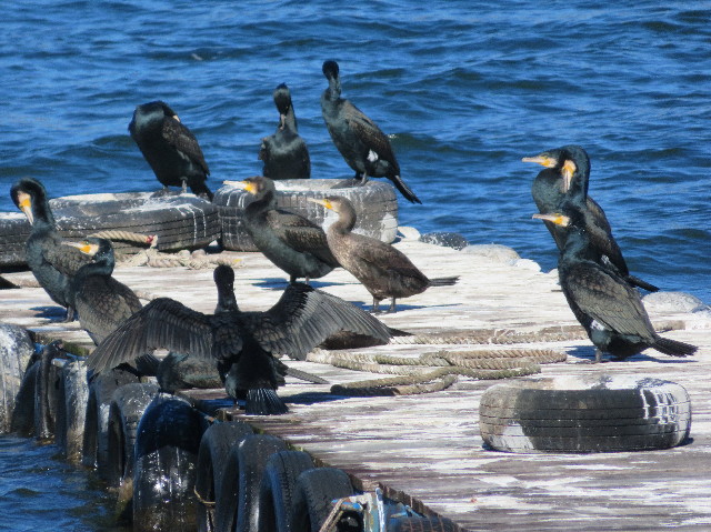 ファイル 6895-5.jpg