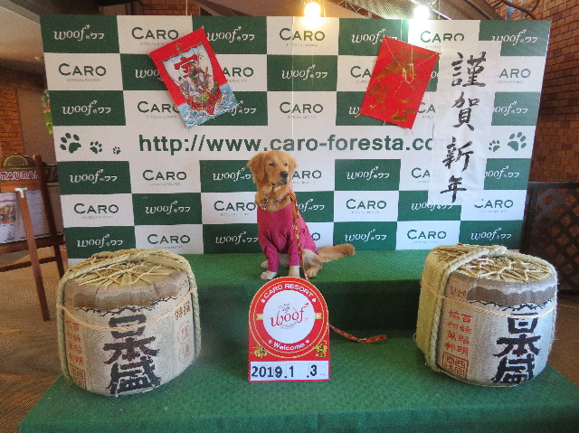 ファイル 6897-2.jpg