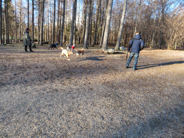 ファイル 6899-1.jpg