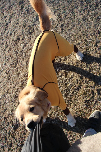 ファイル 6899-4.jpg