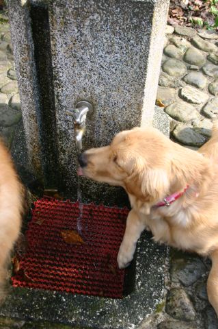 ファイル 69-5.jpg