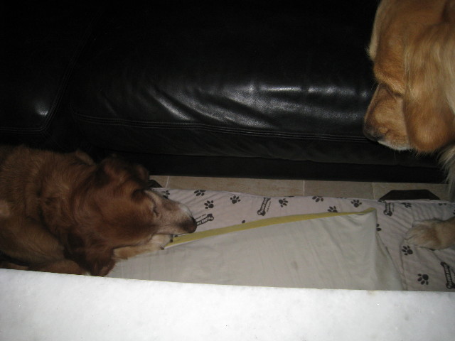 ファイル 690-1.jpg