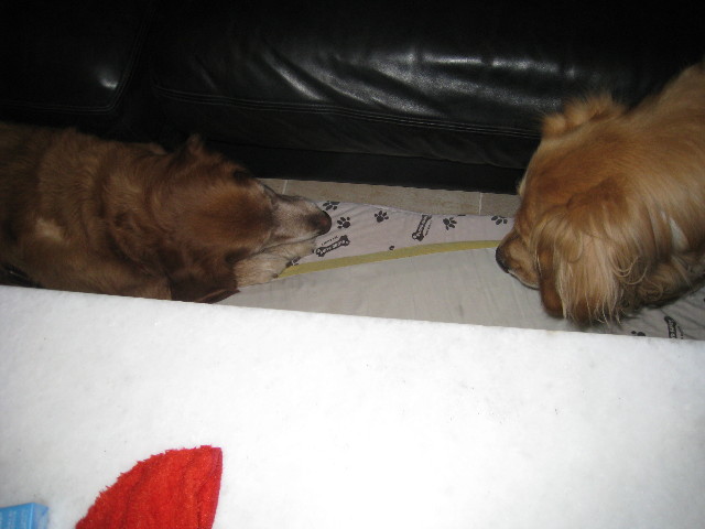 ファイル 690-2.jpg