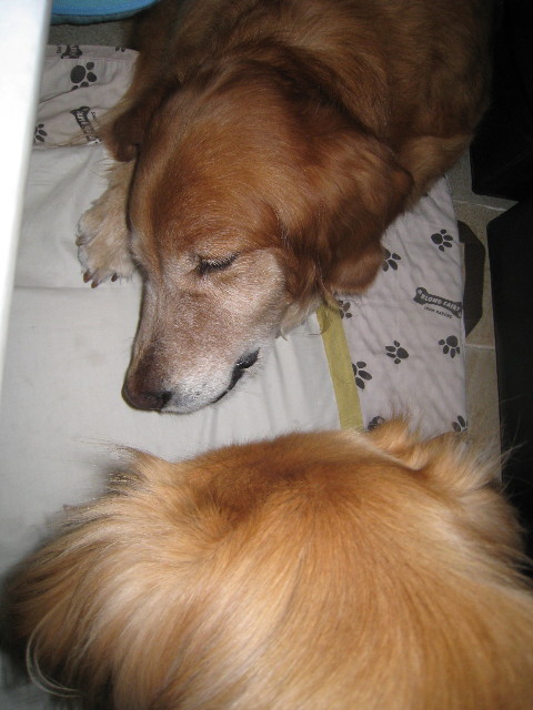 ファイル 690-4.jpg