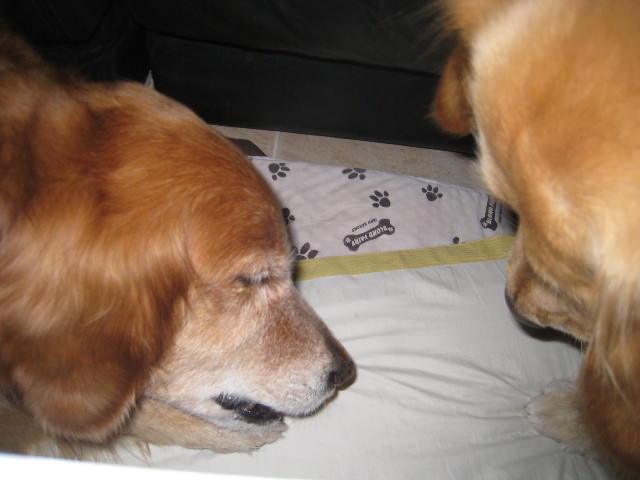 ファイル 690-5.jpg