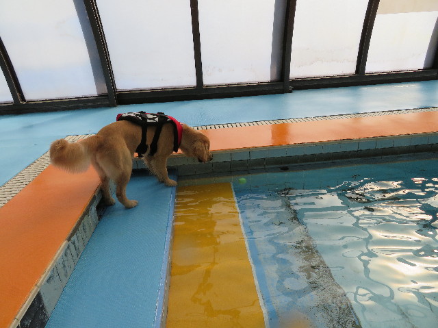 ファイル 6900-1.jpg