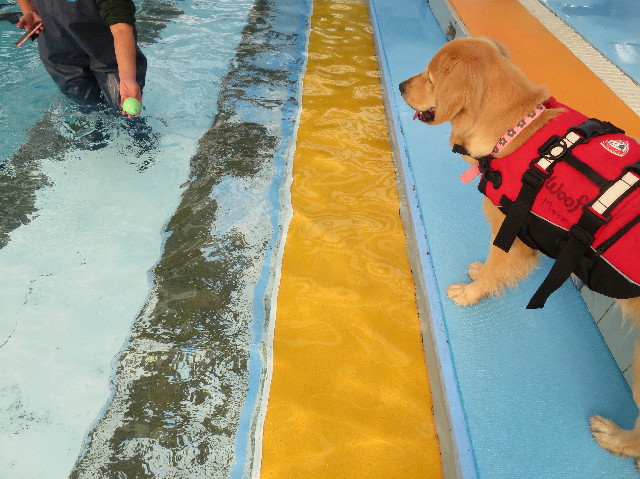 ファイル 6900-2.jpg