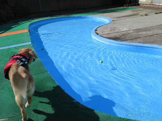 ファイル 6900-3.jpg