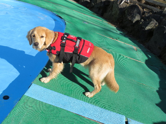 ファイル 6900-4.jpg