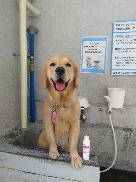 ファイル 6900-5.jpg