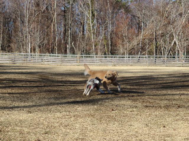 ファイル 6901-1.jpg