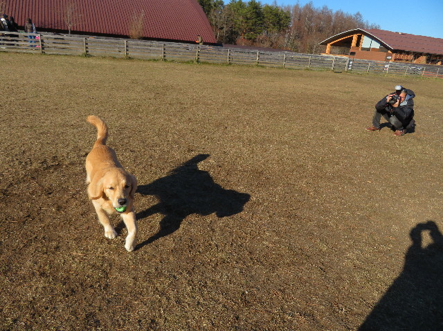 ファイル 6901-2.jpg