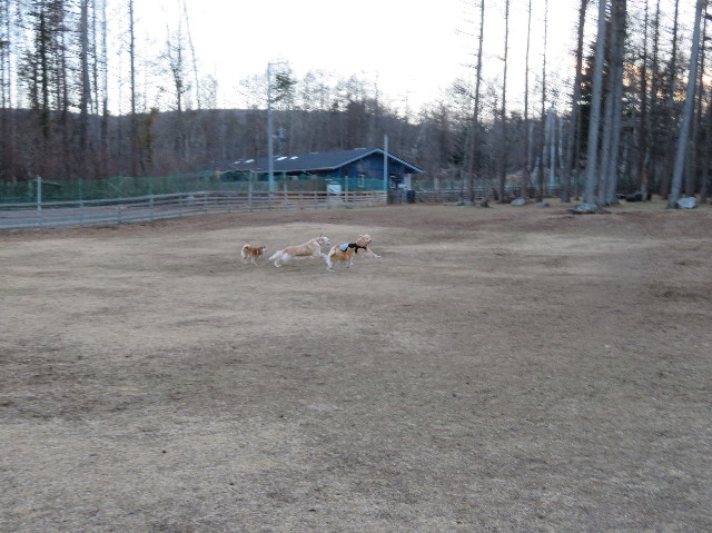 ファイル 6901-4.jpg