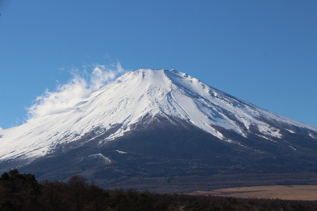 ファイル 6902-1.jpg