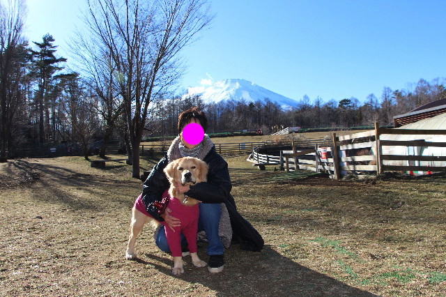 ファイル 6902-2.jpg