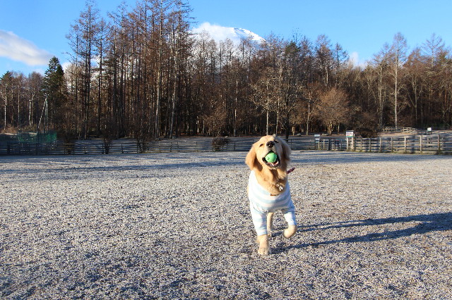 ファイル 6902-3.jpg