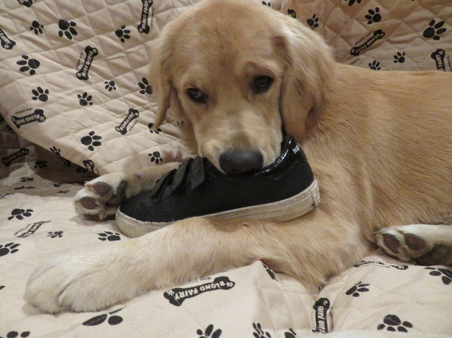 ファイル 6902-5.jpg