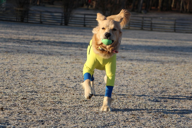 ファイル 6903-1.jpg