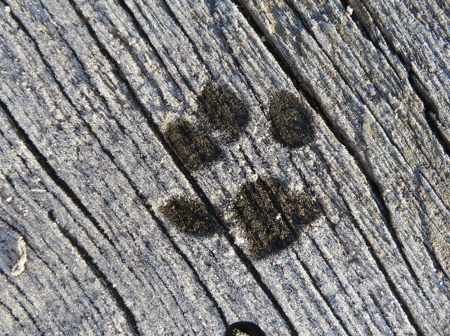 ファイル 6903-3.jpg