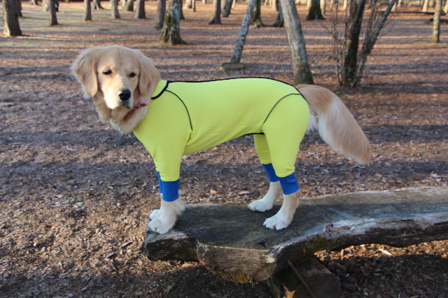 ファイル 6903-4.jpg