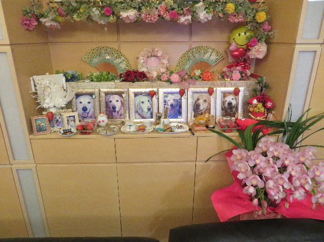 ファイル 6904-1.jpg