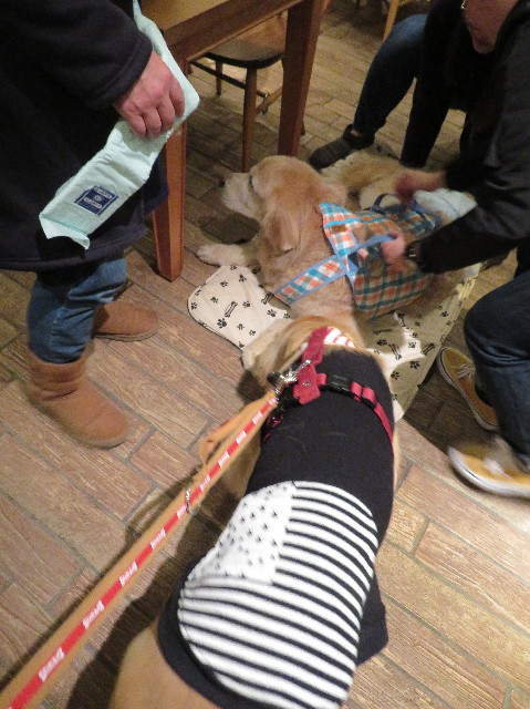 ファイル 6904-4.jpg