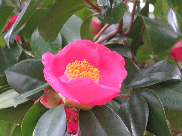 ファイル 6905-2.jpg