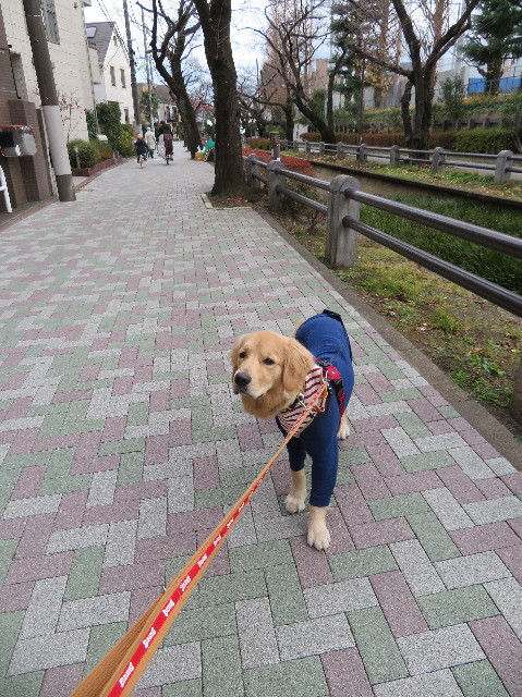 ファイル 6905-4.jpg