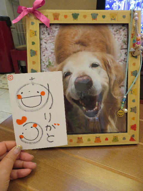 ファイル 6906-1.jpg