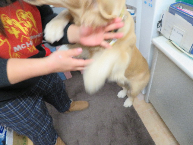 ファイル 6907-1.jpg