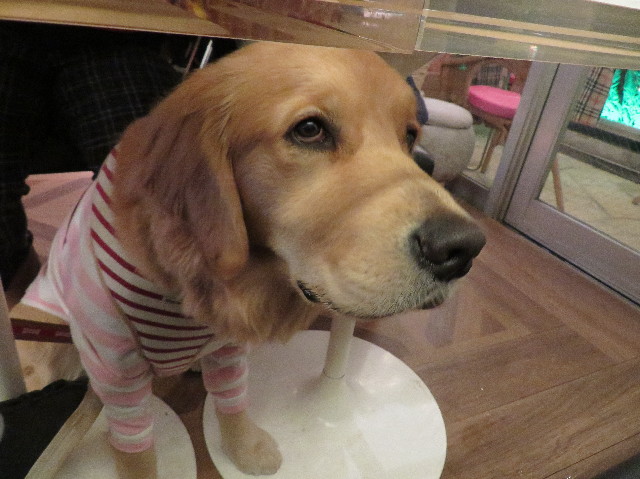 ファイル 6907-4.jpg