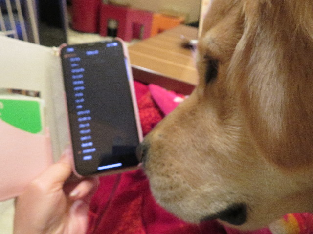 ファイル 6907-5.jpg