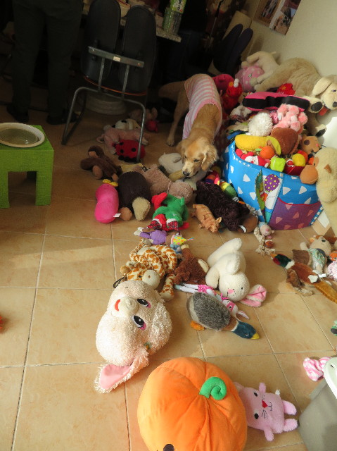 ファイル 6908-2.jpg