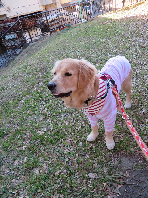 ファイル 6908-4.jpg