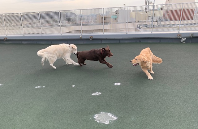 ファイル 6909-2.jpg