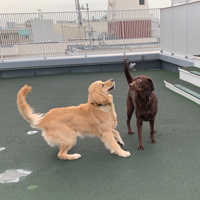 ファイル 6909-3.jpg