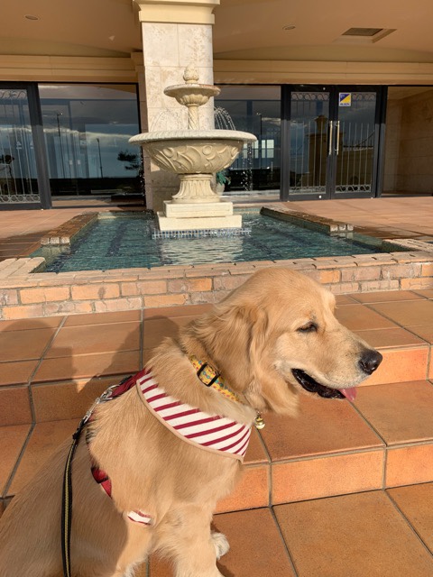 ファイル 6909-5.jpg