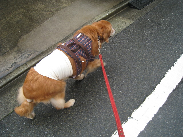 ファイル 691-1.jpg