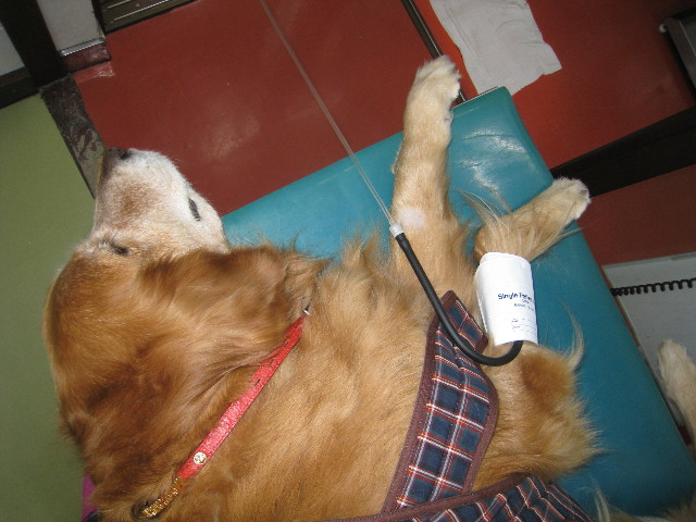 ファイル 691-2.jpg