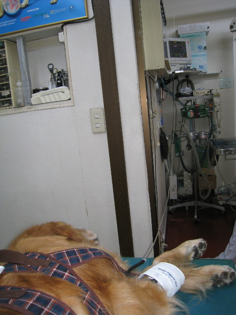 ファイル 691-3.jpg