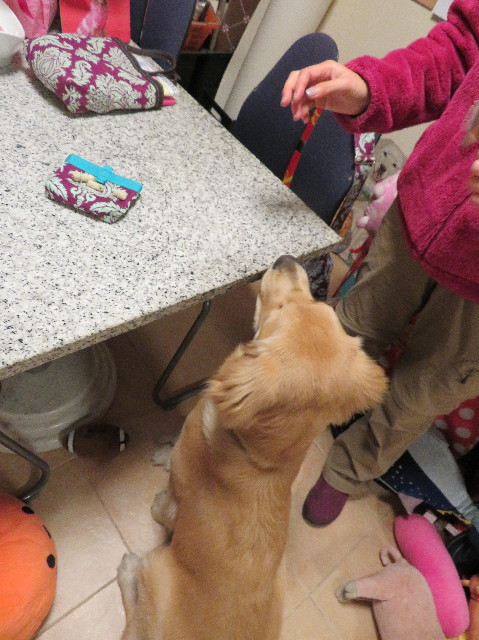 ファイル 6910-2.jpg