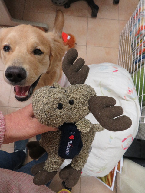 ファイル 6910-4.jpg