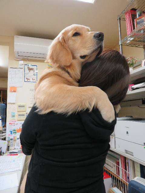 ファイル 6910-5.jpg