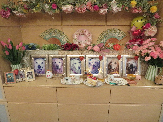 ファイル 6911-1.jpg