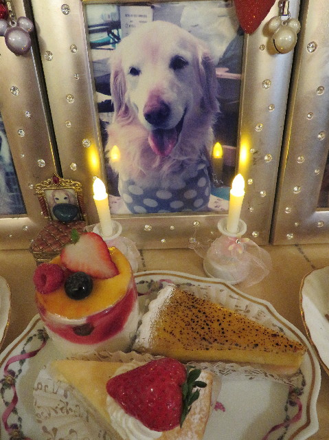 ファイル 6911-3.jpg