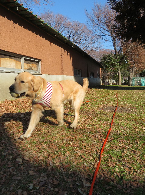 ファイル 6912-1.jpg