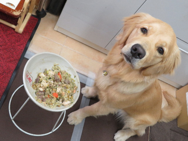 ファイル 6913-2.jpg