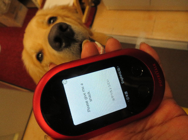 ファイル 6913-5.jpg