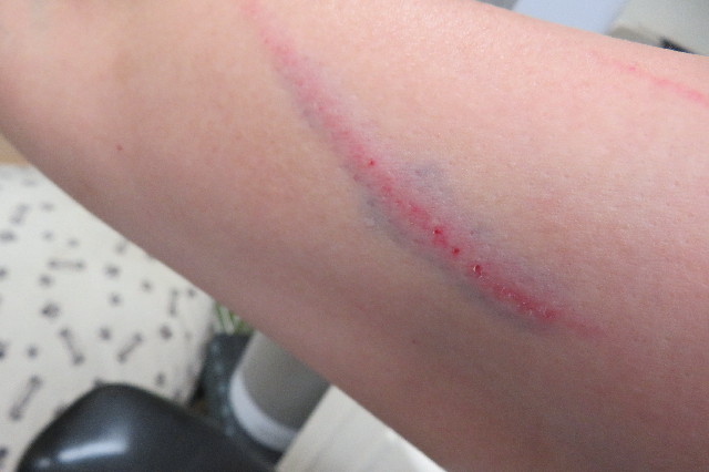 ファイル 6914-1.jpg