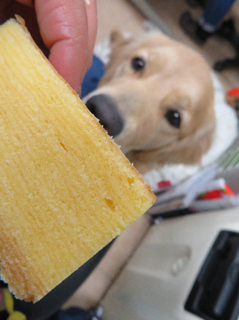 ファイル 6914-3.jpg